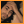 face_21