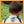 israel_11